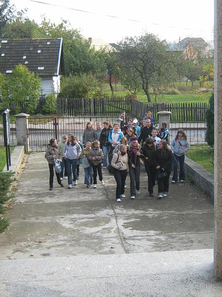 Obraz 147.jpg